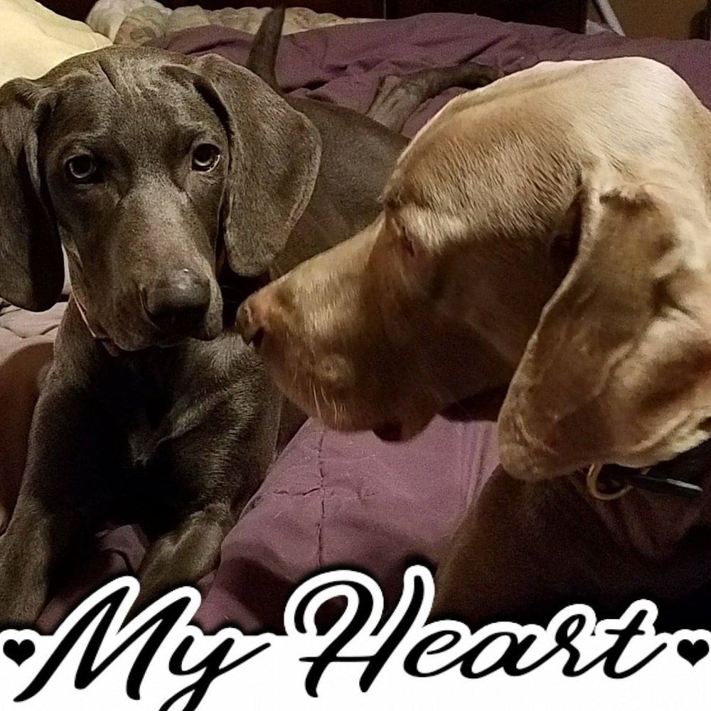 Meet your Posher, Tresha